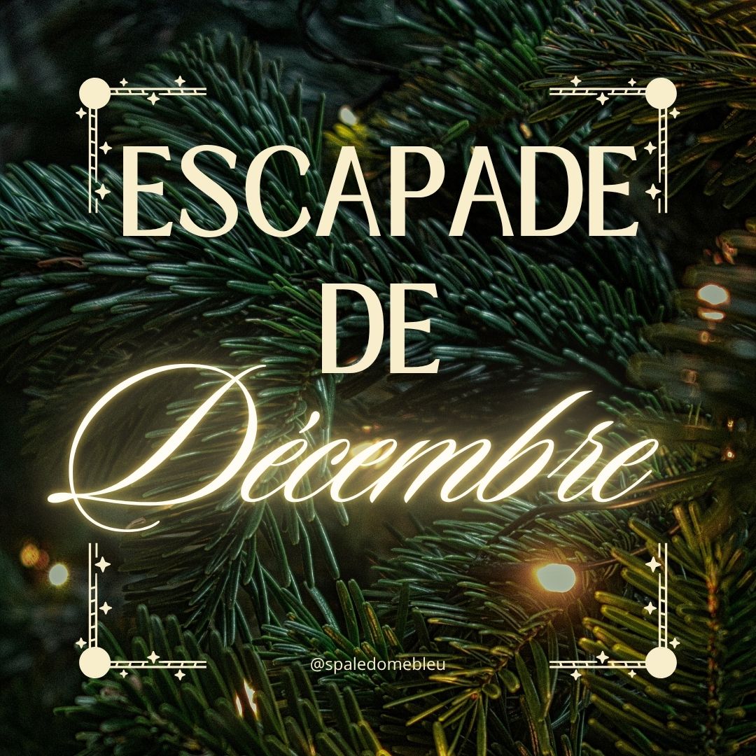 ESCAPADE DE DECEMBRE image